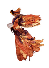 Load image into Gallery viewer, Faerie Clairen - One of a Kind Faerie from Flowers -  Available as 5x7 Note Card