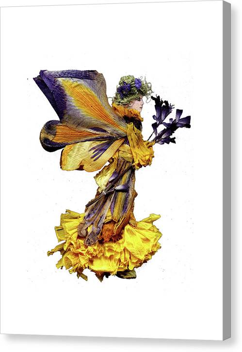 Heralice - Canvas Print