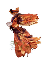 Load image into Gallery viewer, Faerie Clairen - One of a Kind Faerie from Flowers -  Available as 5x7 Note Card